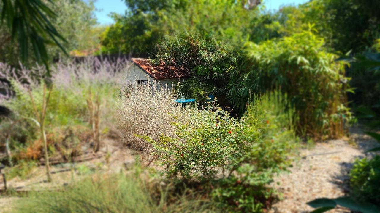 Ferienwohnung Chez Nous Dans Notre Petit Jardin Montpellier Exterior foto